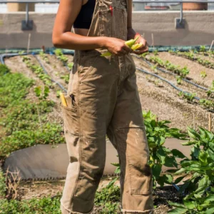 Dungarees i lærred til kvinder