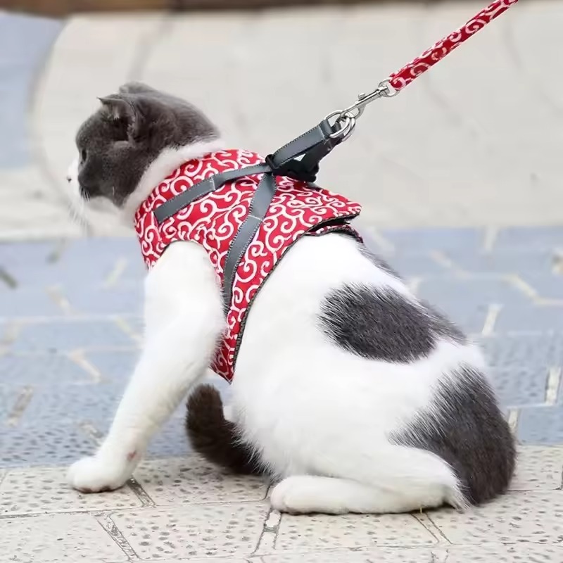 Cat leash set
