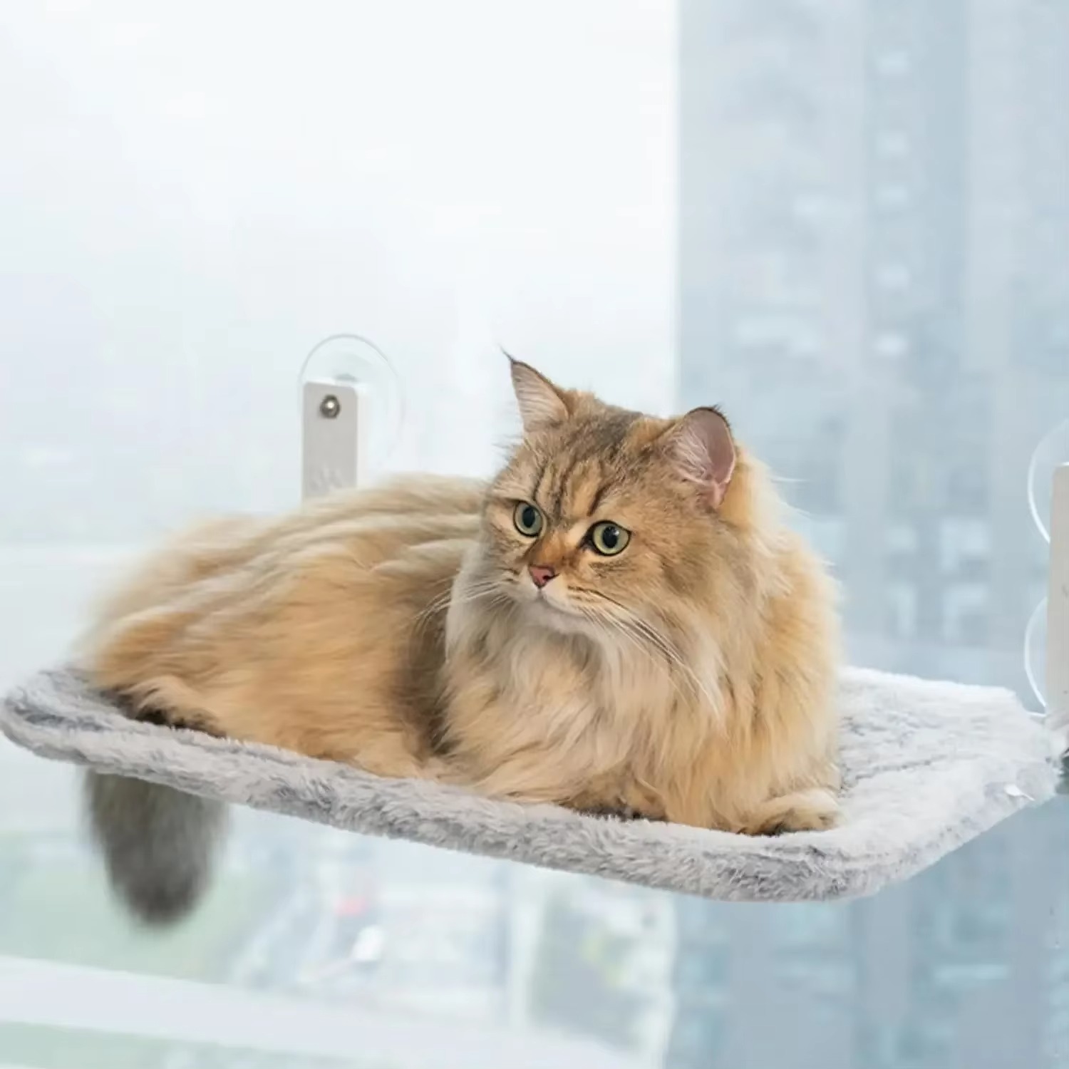 Cat window hammock