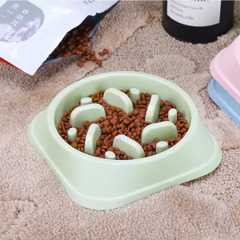 Slow feeder bowl