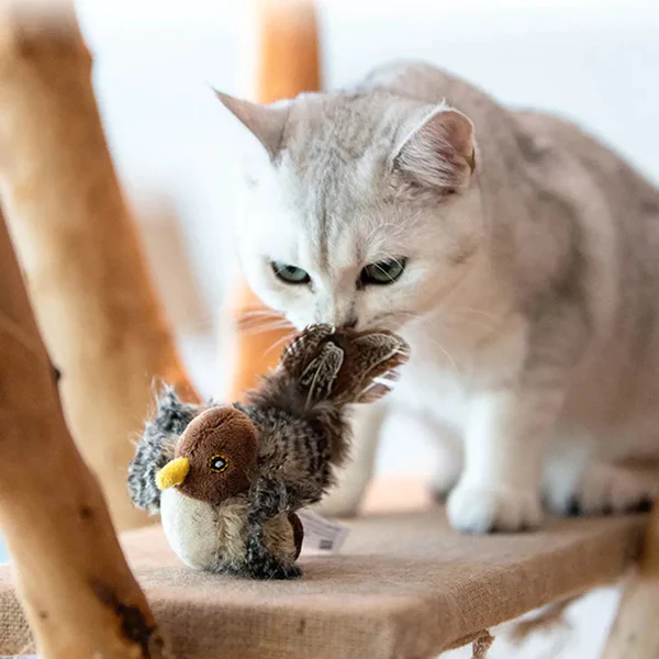 Cat toy with bird sounds