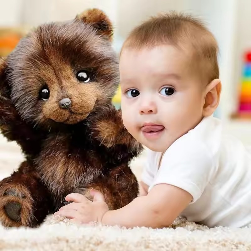 Teddy bear plush