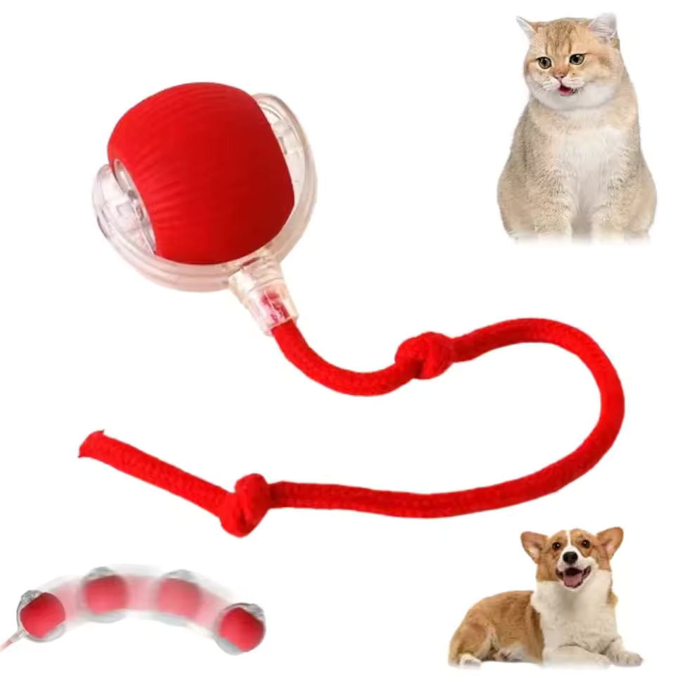 Interactive pet ball