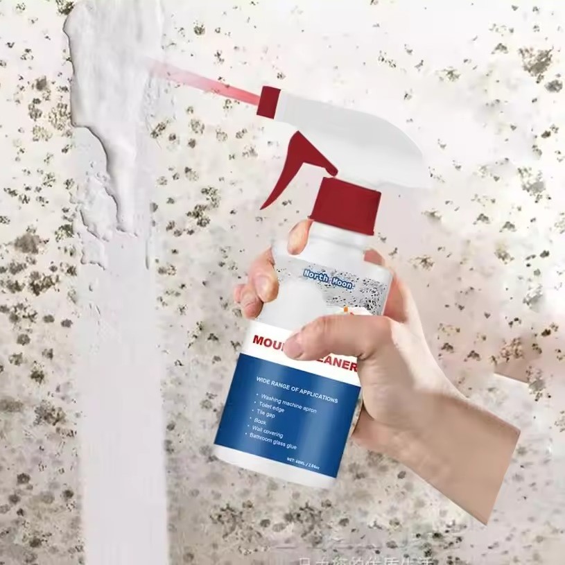 Mold remover spray