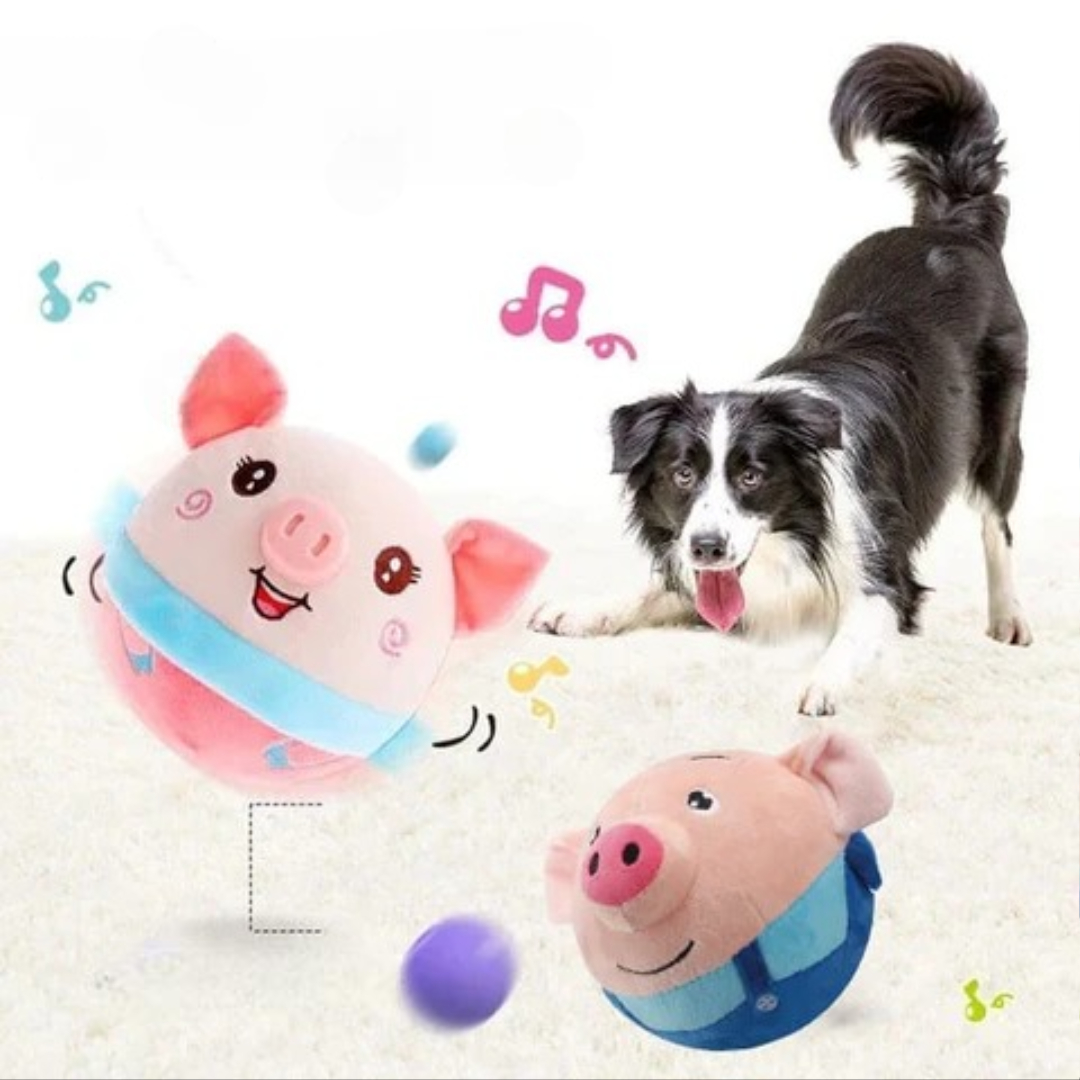 Dog toy