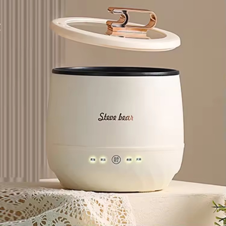 Mini cooker