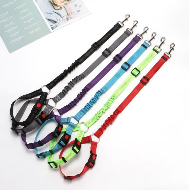 Dog car leash