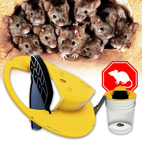 Mouse trap
