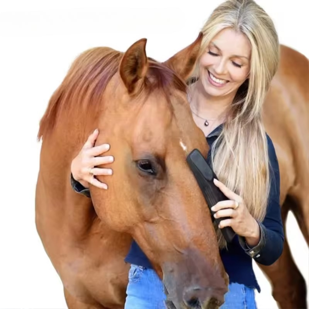 Horse brush