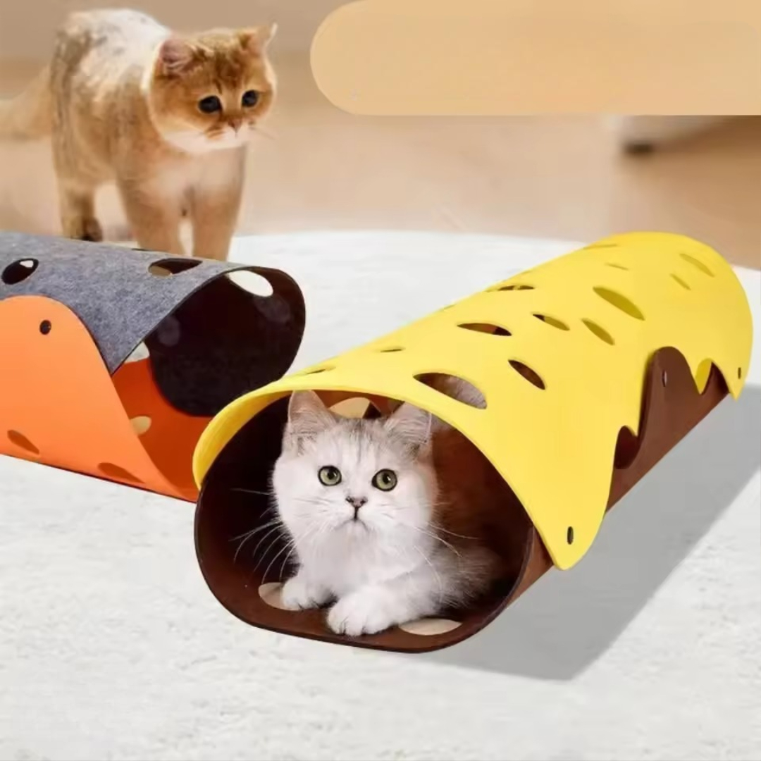 Pet adventure tunnel