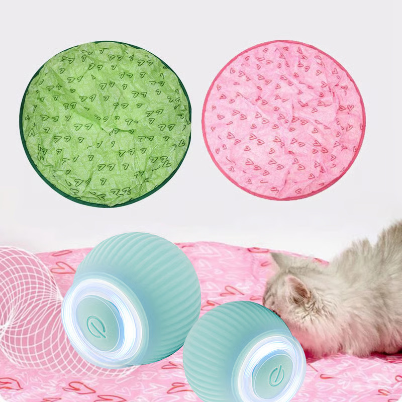 Interactive cat toy