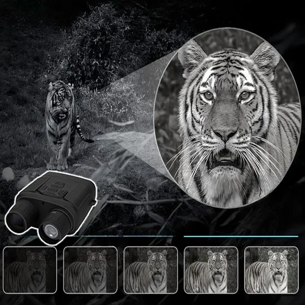 Night vision binoculars