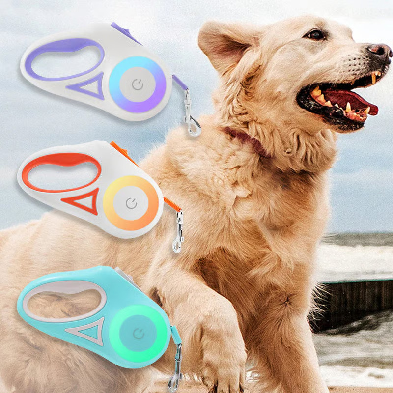 LED pet leash