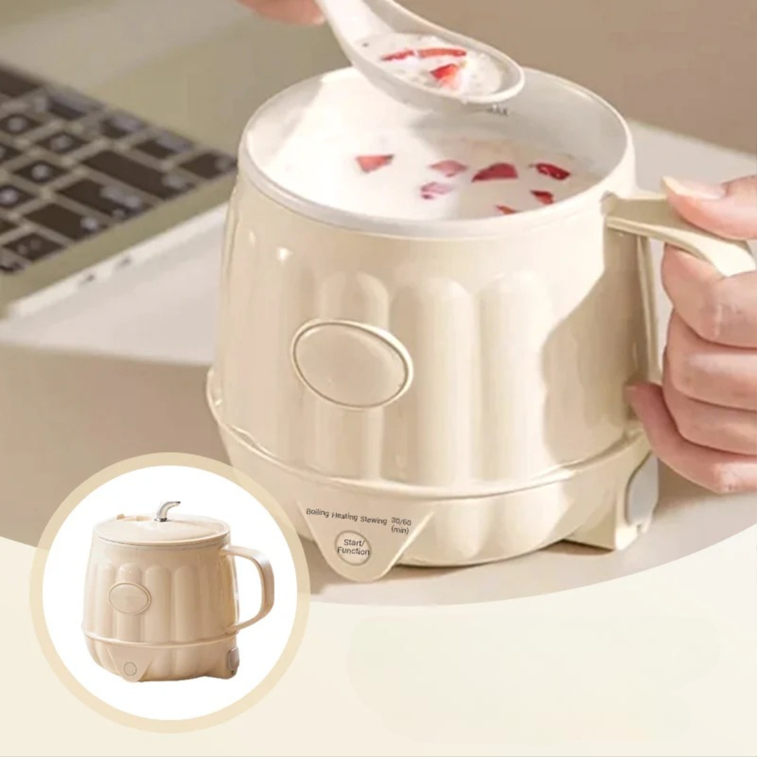 Multifunctional electric milk warmer
